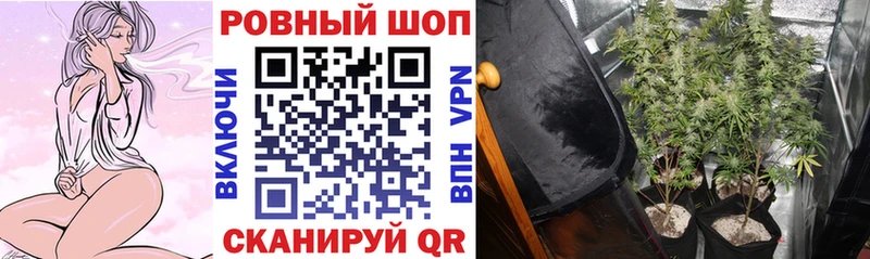 Наркота Богородск Гашиш Бошки Шишки Галлюциногенные грибы МЕФ Кокаин СК