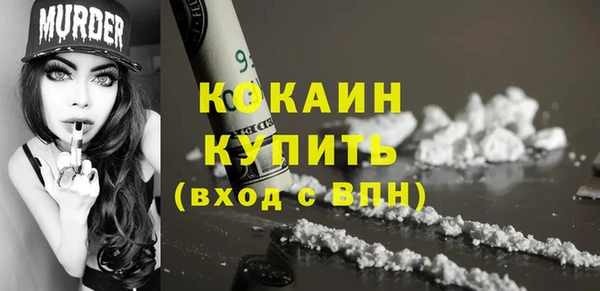 стаф Богородск