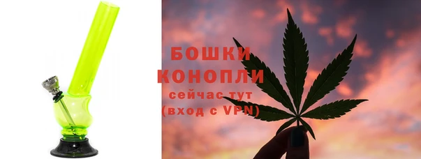 стаф Богородск