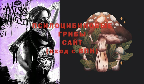 стаф Богородск