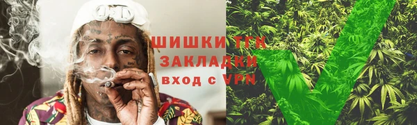 mdpv Богданович