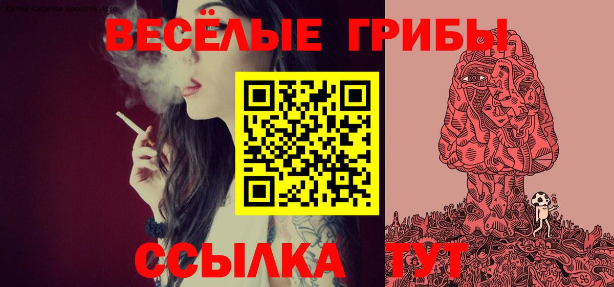 Богородск  Меф МЯУ МЯУ  МАРИХУАНА  Меф   Вход с VPN  Гашиш 