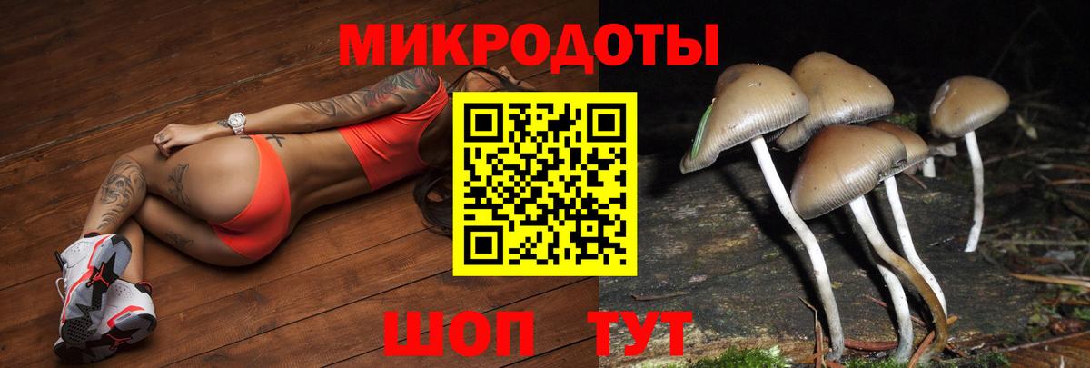 Псилоцибиновые грибы прущие грибы  Галлюциногенные грибы Magic Shrooms  как найти   Богородск  Вход с VPN 