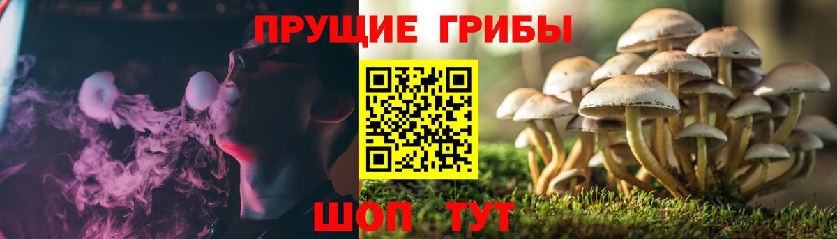 Галлюциногенные грибы Cubensis Богородск